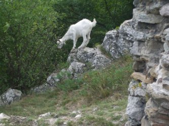 Po schôdzi na hrady