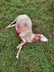 Ministerstvo životného prostredia likviduje život na vidieku!!!