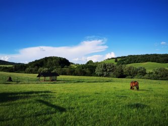 Hľadáme Dedinu roka 2021!