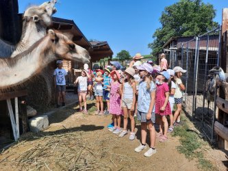 Široký vejár projektov a aktivít