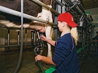 Alexander Pastorek: Tvorcovia Strategického plánu akoby postavili proti sebe dva výrobné zväzy