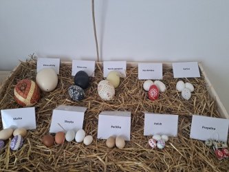 Pozvánka na vyhodnotenie  prehliadky Vandrovalo vajce...