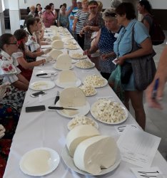 Pripomeňme si poslanie Svetového dňa mlieka.  „Viac mlieka ═ viac zdravia“