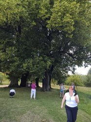 13. ročník národného ocenenia Dedina  roka.